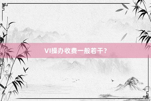 VI操办收费一般若干？